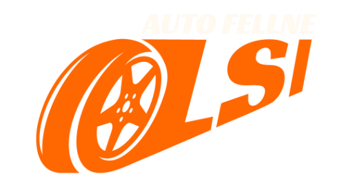 Auto Fellne Olsi